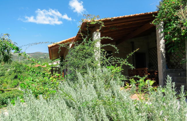 Casa da Mouta - Douro Valley - Foto 18