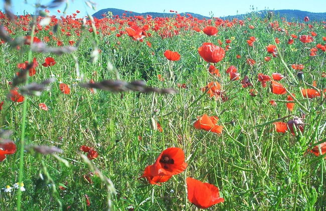 Ferienwohnung Stricker Harz - Photo 52
