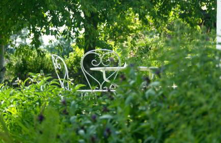 Haus Frohsinn- Feldberg im Schwarzwald - Photo 23