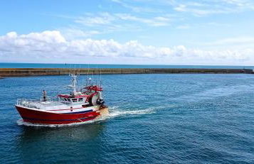 L'Escale Bretonne 4 personnes, proche mer, jardin privé clos et indépendant, appartement en rez de chaussé - Foto 28