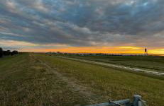 Deichkieker - Foto 21