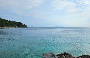 Nada Apartment, Uvala Koramaslinova, Brač - Photo 29