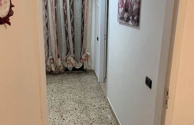 agriturismo cerquatonda - Foto 11