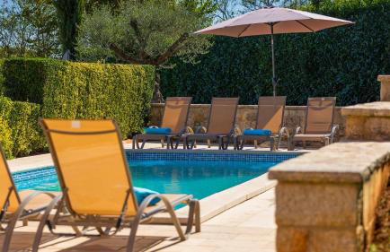 Beautiful Villa Parenzana with pool in Vizinada - Foto 16