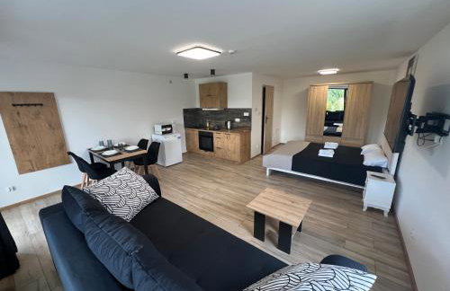 Domki i Apartamenty Wypoczynkowe z jacuzzi Lidzbark - Foto 59