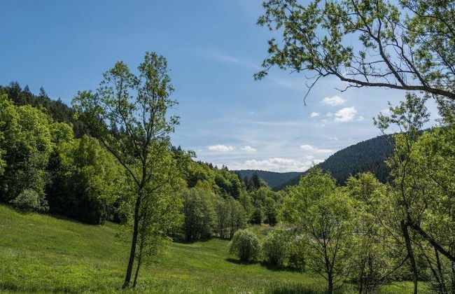 Luxus Ferienhaus Schwarzwald Dieboldsberg - Foto 11