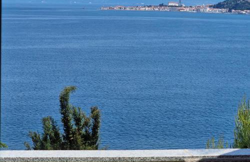 Villa del Golfo - Foto 72