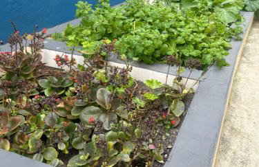 Pé na areia apto Rassy - Photo 28