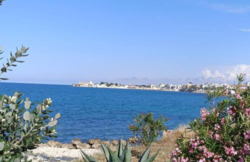 Pangea - Asia - Foto 31