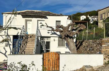 Papous house - Foto 17