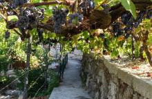 Quintinha De Pinouco - Foto 41