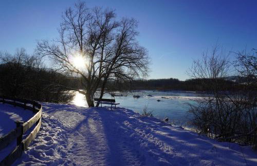 FeWo BergZeit auf 1000 m Höhe mit Balkon, Parkplatz, WLAN, Küche - Photo 35
