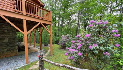 The Scratching Post - Foto 2