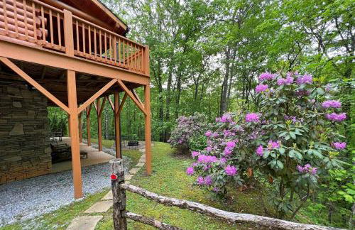 The Scratching Post - Foto 2