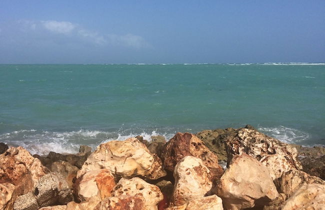 The Dorchester - Foto 66