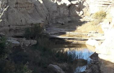 La Manguita Bardenas - Foto 21