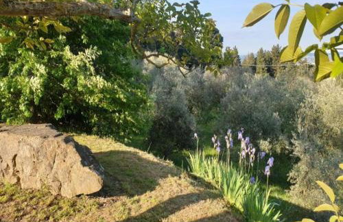 Charming Retreat in Montorsoli - Photo 71