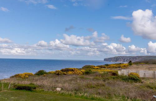 Hunroe Brow - Photo 23