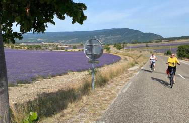 Chateau appartement tussen Mont Ventoux en Luberon - Foto 40