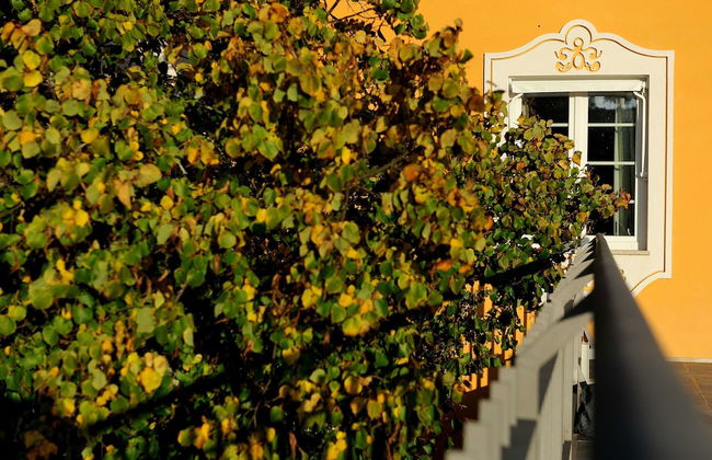 Cabeças do Reguengo - Photo 46