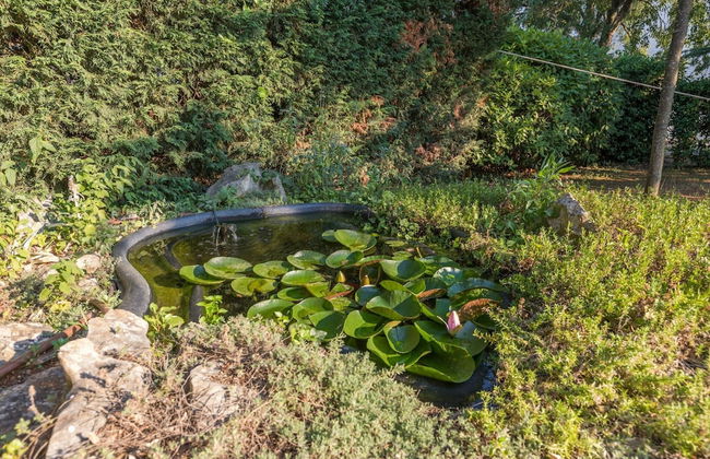 Pool Villa in Sibenik Near Lake - Photo 40