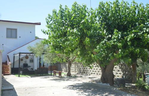 Villino Anna e Pippino - Foto 4