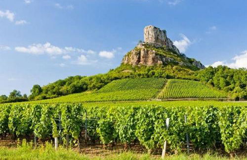 La Maison des Vignes à 5 minutes de l A6 & Macon - Foto 18