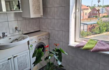 Gaststätte und Pension Zur Schiene - Foto 21