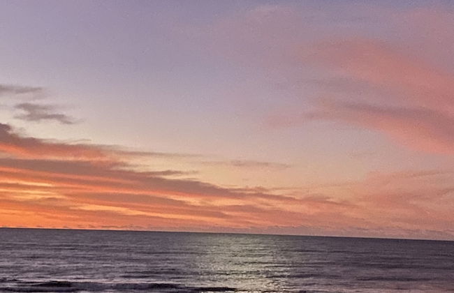 Ross Beach TOP 10 Holiday Park - Foto 63