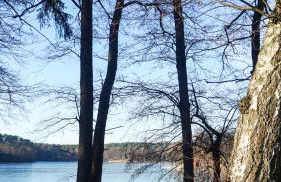 Ferienhaus direkt am See - Kamin, Klima, Sauna und Boot - Foto 6