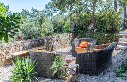 Quinta da Paciencia - Foto 12