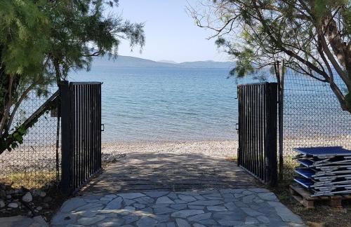 Beachfront cottage house in olive grove - Foto 14