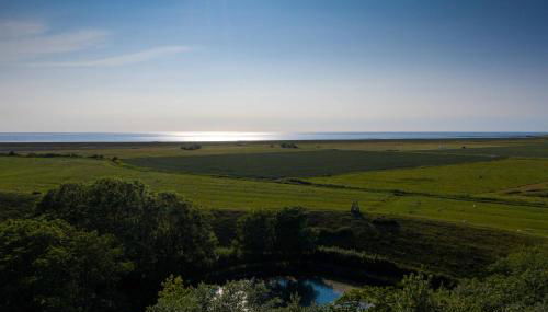 Seepferdchen - Foto 3