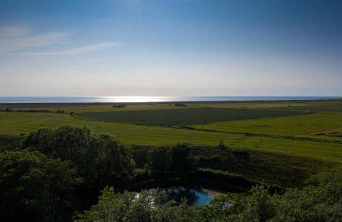 Seepferdchen - Foto 3