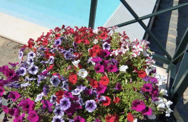 Quinta das Aveleiras - Foto 53