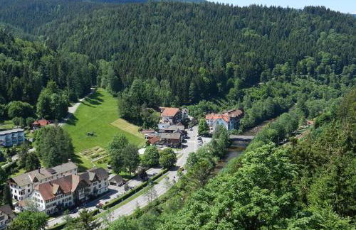 Ferienwohnungen in Schönmünzach - Photo 26