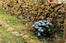 Vive una escapada rural con alma, cerca de todo y lejos del ruido - Foto 59