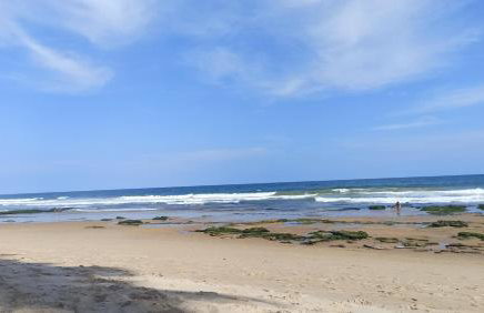 Brisa do Mar Beach House a 100m da Praia - Foto 21