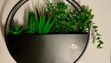 "Le Doux Mer" - Studio Royan Hyper Centre - Classé 3 étoiles - 2 pers - 150m plage - Foto 2