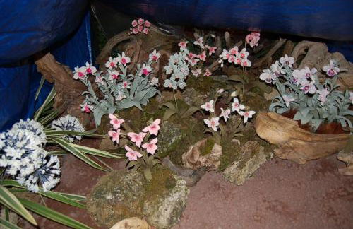 holiday on the island - Foto 47