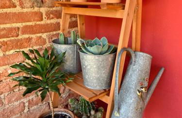 Na’bolera - Foto 8