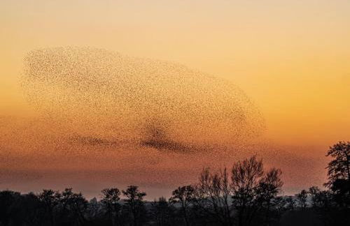 Upper Beeches - Foto 23