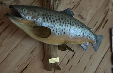 Red River Retreat - Foto 41