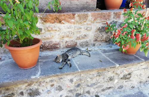 Fotis Apartments - Foto 24