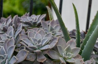 CàGrande - Photo 55