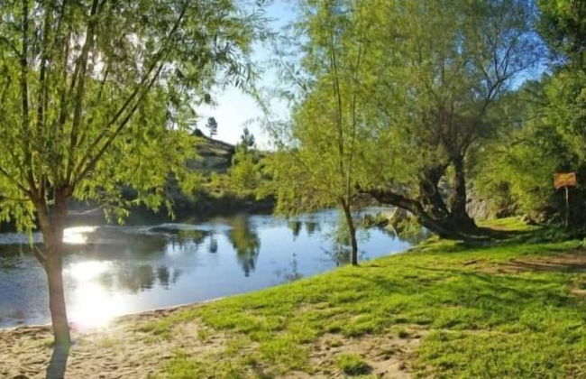 Aparthotel Sueños del bosque - Photo 16