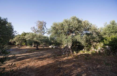 Olive Garden Villa Venetia - Foto 61