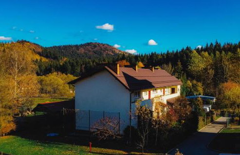 Apartament Zielony Ruczaj w Cisnej - Photo 44