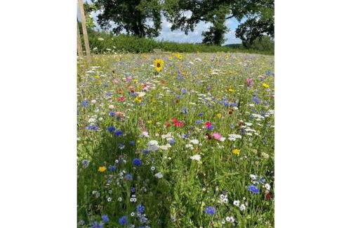 1-bedroom cottage - Foto 5