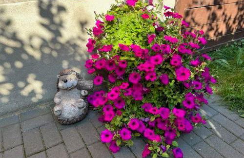 Modernes Ferienhaus im Harz Nähe Wernigerode - Foto 26